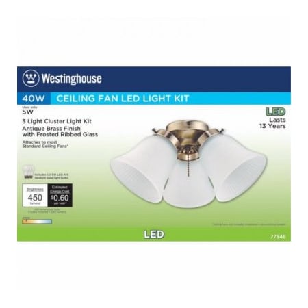 Westinghouse 3LGT AB Fros Fan Kit 77848